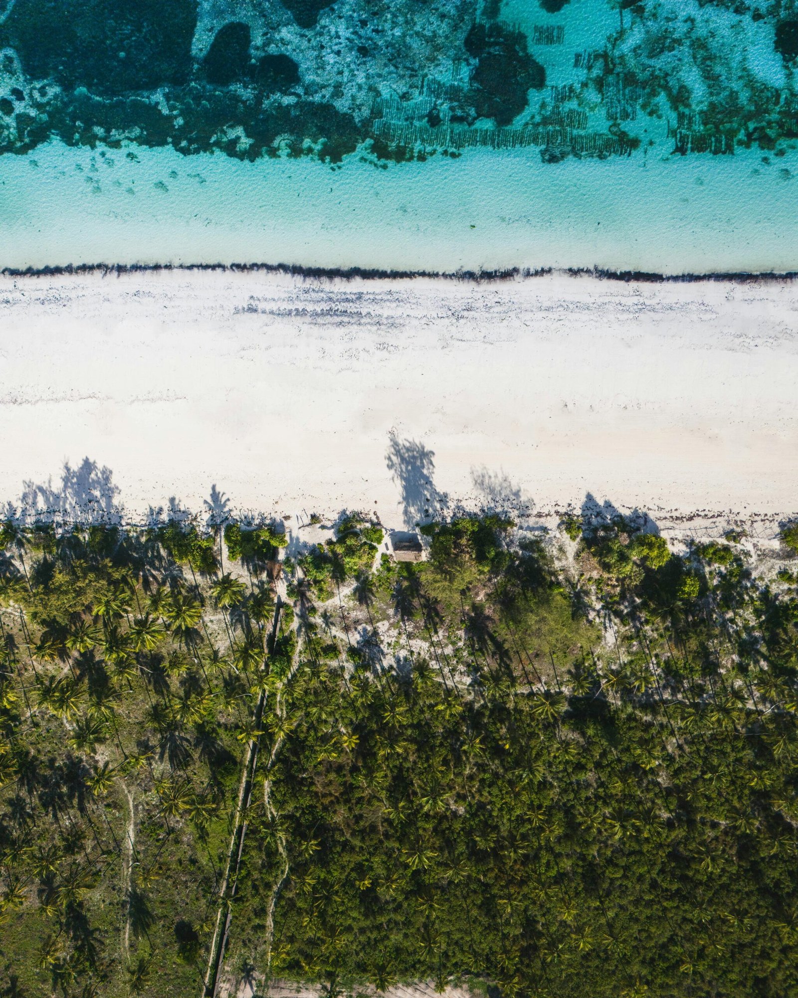 Stunning aerial view capturing Zanzibar's turquoise waters, white sand, and lush palms.